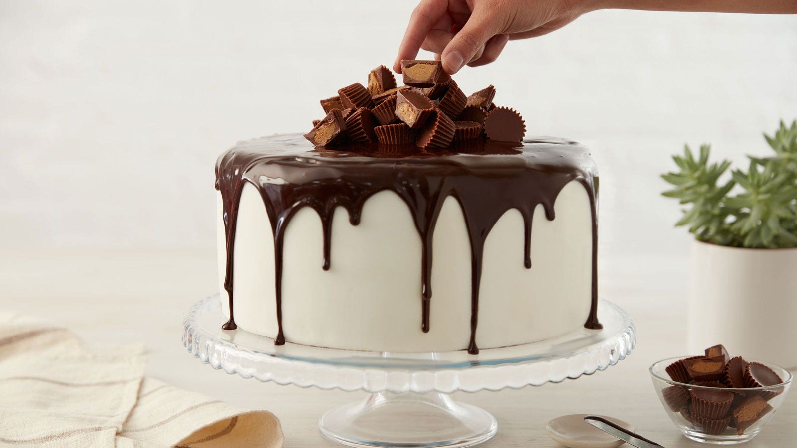 Chocolate Cake With White Chocolate Icing Recipe