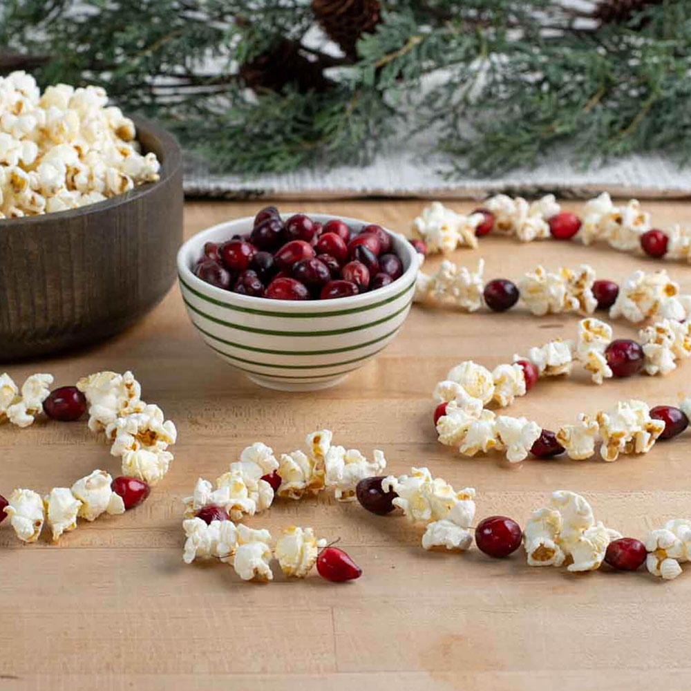 holiday garland made with skinnypop popcorn and cranberries